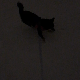 お迎え。の画像