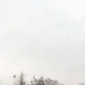 千葉エリアの雪の画像