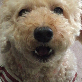 かぁちゃんなら、分かるべ‼︎の画像