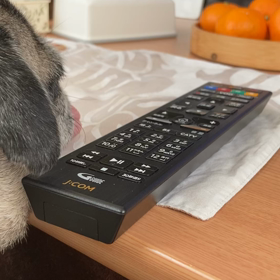 モコちん通信5️⃣の画像