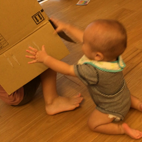 段ボール遊び&ミックスメダカにダルマくんの画像