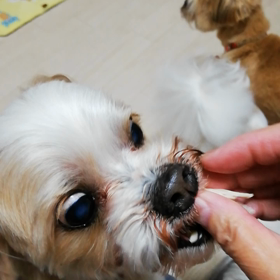 おかえり☆いらっしゃいの画像