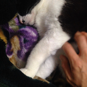 ▶︎爆睡の画像