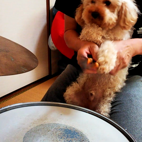 1,111   スイングしなけりゃ「福」じゃないの画像