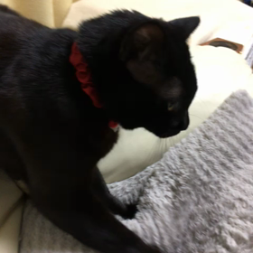 可愛い仕草の画像