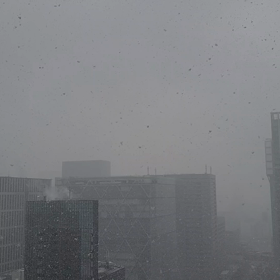 雪が降っていますの画像