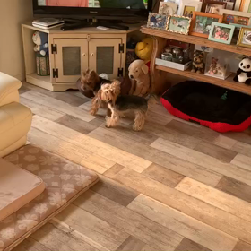 悪い奴だの画像