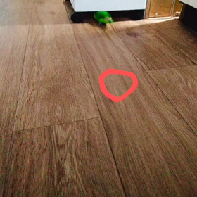 まーちゃんの画像