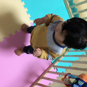 【11m19d】求む!!judge!!の画像