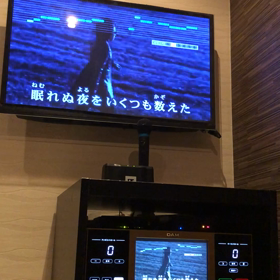 眠れぬ夜をいくつも数えたの画像