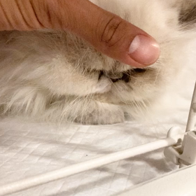 手術おつかれさまの画像