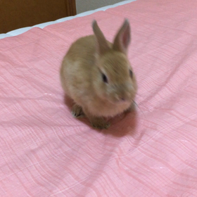 洗顔中。の画像