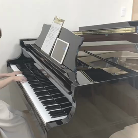 【素敵な弾き語り✰塔の上のラプンツェルより  「I SEE THE LIGHT」】の画像