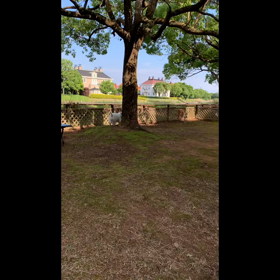 ハウステンボスドッグラン編の画像