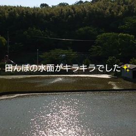 素敵な世界の画像