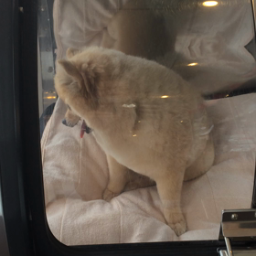 ⬛️9/6〜9/12＊酸素カプセルご利用のお友達⬛️1の画像