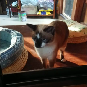 もぐのごあいさつ。の画像