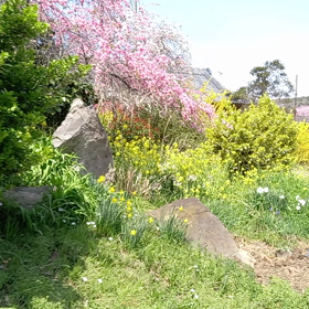 今日もキレイレンギﾖウの画像