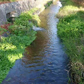 きょうの散歩道の画像
