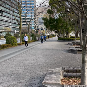 2ヶ月余り後に迫った東京マラソンの画像