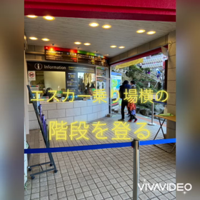 もう一つの江ノ島パワースポットの画像