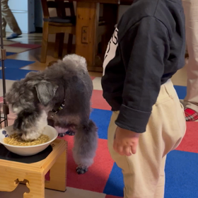 今日は動画での画像