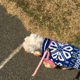 見たら分かる…の画像