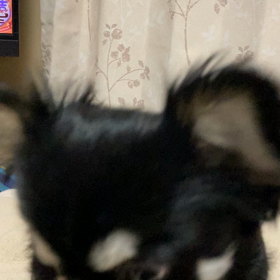 お疲れ様ですの画像