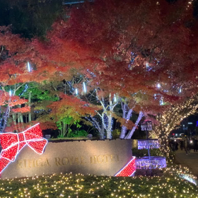 こ　○ ○   く　の画像