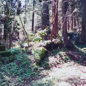 山伏が歩くの画像