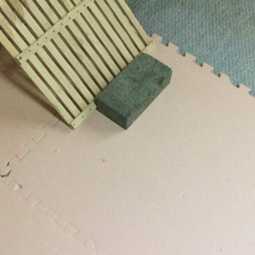 今日はピーたんの運動(^｡^)の画像