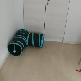 プチ投稿: 復活の画像