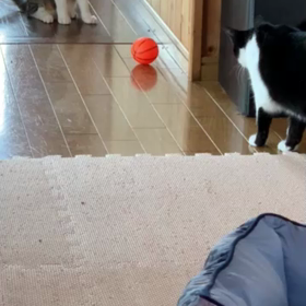 少しは伝わるかな？の画像