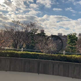 コーヒーの画像