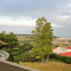 言ってみたことの画像