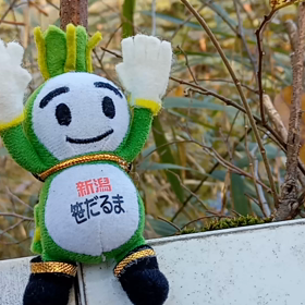 11/24の画像