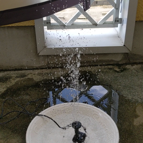 はじめましたの画像