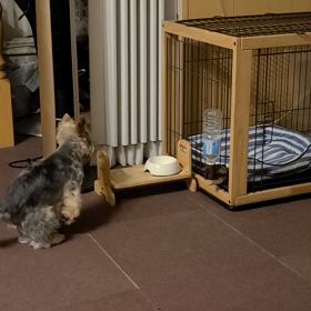 お腹空いたんだけどなぁの画像