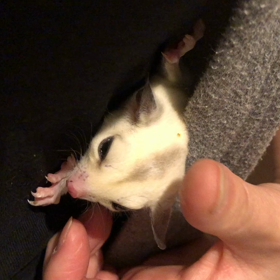 くうちゃんの好きな場所の画像