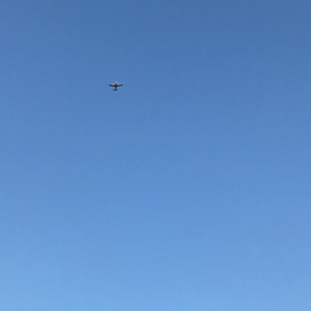 武者小路実篤…からのぉ〜の画像