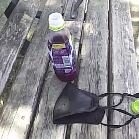 a8公園の木陰の画像