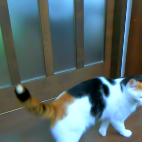 今日は映画の日の画像