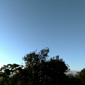 サンライズ。ちょっと間に合わず。の画像