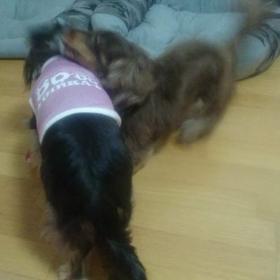 立場逆転(笑)の画像