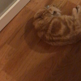 とても残念な事の画像