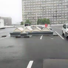 凄い雨です(。>д<)の画像