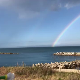 3/19の画像