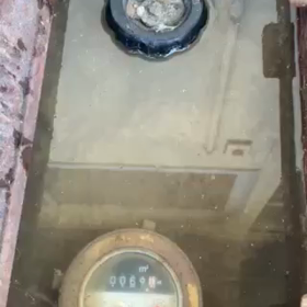 またもや⁉️の画像