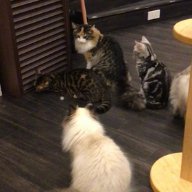 ”周りの空気を読んで、コミュニケーションは慎重にー8/30”の画像