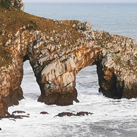 I don't see the future, I don't forget my memoryの画像